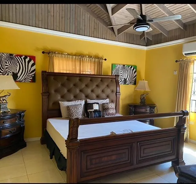 15000 Sq Ft 7 Bedroom House With Pool And Ocean View Silver Sands